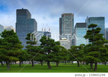 Tokyo, Japan - Oct 01 2024, panoramic view of a park with Japanese black pine trees and glass skyscrapers and a cloudy sky in the background, in the Chiyoda district, without people, Tokyo, Japan Tokyo, Japan - Oct 01 2024, panoramic view of a park with Japanese black pine trees and glass skyscrapers and a cloudy sky in the background, in the Chiyoda district, without people, Tokyo, Japan 139601299