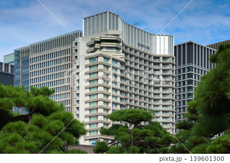 Tokyo, Japan - Oct 1 2024, panoramic view of skyscrapers of Chiyoda district, with trees in the eastern gardens of the Tokyo Imperial Palace in the foreground, at daytime, with blue sky, Tokyo, Japan 139601300