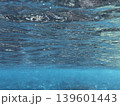 青い海 139601443