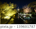 ライトアップされた東寺庭園の五重塔 139601787