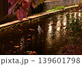 川に浮かぶ鴨 139601798