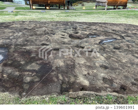 青森県青森市の史跡、三内丸山遺跡の発掘された大型竪穴建物跡です。 139601991