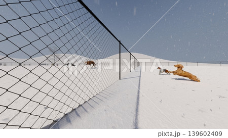 雪の中 広々としたドッグランと遊ぶ犬たちの風景 人物あり(3DCG・イラスト) 雪の中 広々としたドッグランと遊ぶ犬たちの風景 人物あり(3DCG・イラスト) 139602409