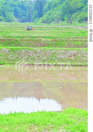当間高原の麓の棚田　新緑の谷あいの田植風景　新潟県十日町市　　　 139602515