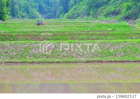 当間高原の麓の棚田　新緑の田植え時の風景　新潟県十日町市　　　 139602517