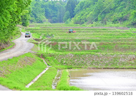 当間高原の麓の棚田 新緑の谷あいの田植風景 新潟県十日町市 当間高原の麓の棚田 新緑の谷あいの田植風景 新潟県十日町市 139602518