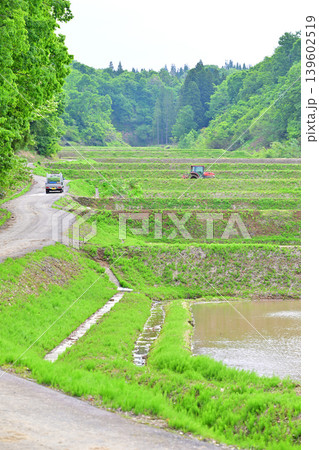 当間高原の麓の棚田　新緑の谷あいの田植風景　新潟県十日町市　　　 139602519