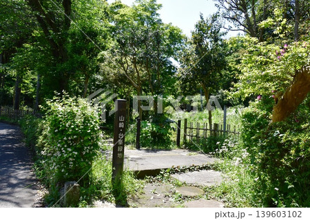 鎌倉市　山崎・台峯緑地道しるべと北大路魯山人旧居住地と新緑 139603102