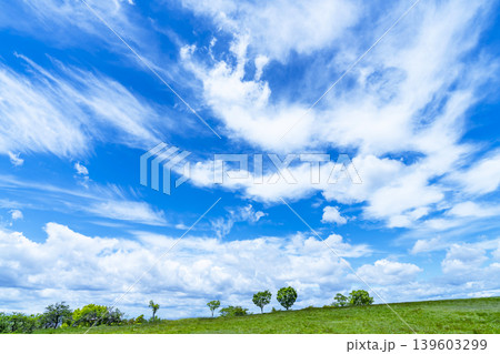 春の青空と雲と草原 春の青空と雲と草原 139603299