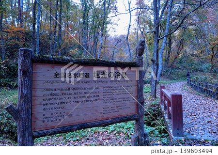 蒜山高原(岡山県)の山中に湧く「塩釜の冷泉」、泉への案内表示板 蒜山高原(岡山県)の山中に湧く「塩釜の冷泉」、泉への案内表示板 139603494