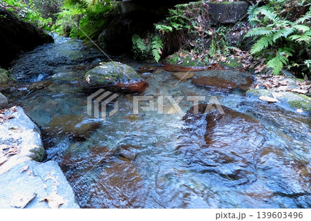 蒜山高原(岡山県)の山中に湧く「塩釜の冷泉」、豊富に湧出する清水 蒜山高原(岡山県)の山中に湧く「塩釜の冷泉」、豊富に湧出する清水 139603496