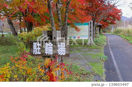蒜山高原に整備された「蒜山高原自転車道」、モミジに囲まれた駐輪場の一角 139603497