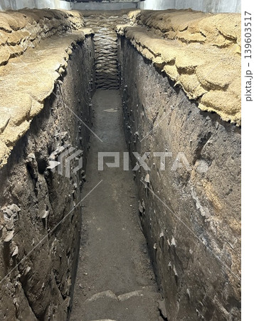 青森県青森市の史跡、三内丸山遺跡の建物や穴を掘った土やゴミが積もった南盛土です。 青森県青森市の史跡、三内丸山遺跡の建物や穴を掘った土やゴミが積もった南盛土です。 139603517