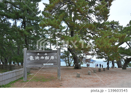 気比の松原(福井県敦賀市松島町) 気比の松原(福井県敦賀市松島町) 139603545