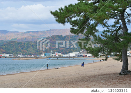 気比の松原(福井県敦賀市松島町) 気比の松原(福井県敦賀市松島町) 139603551
