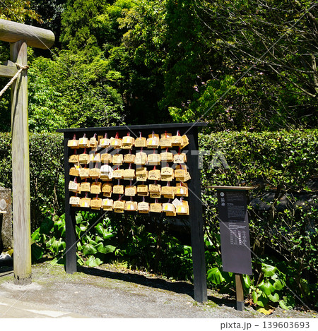 鹿児島県　仙巌園　桜島 139603693