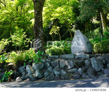 鹿児島県 仙巌園 桜島 鹿児島県 仙巌園 桜島 139603696