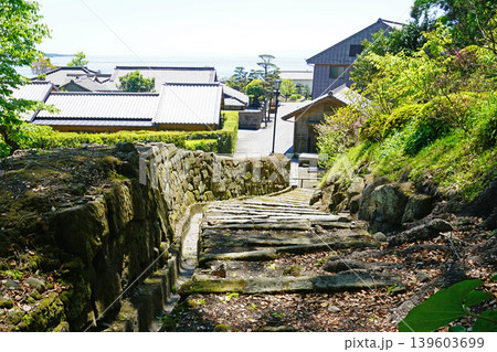 鹿児島県 仙巌園 桜島 鹿児島県 仙巌園 桜島 139603699