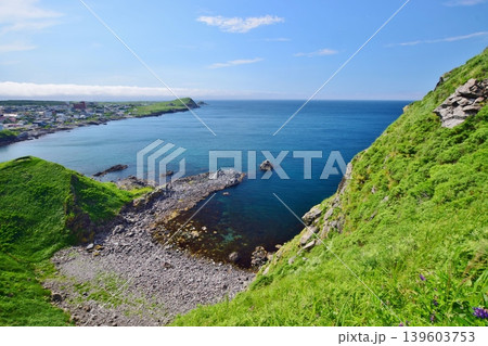 利尻島の夏景色 139603753