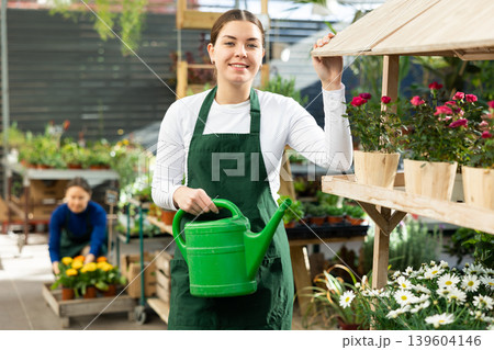 employee of flower greenhouse stands with watering can near shelf with plants employee of flower greenhouse stands with watering can near shelf with plants 139604146