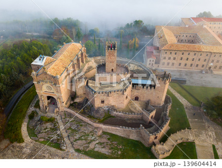 Aerial view of castle of Xavier, Navarre, Spain 139604414