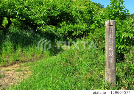 山辺の道 山辺の道 139604574