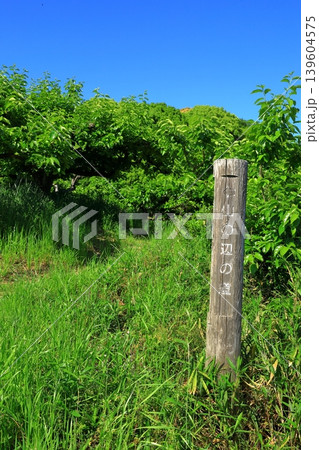 山辺の道 139604575