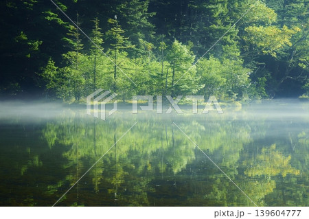幻想的な明神池 幻想的な明神池 139604777