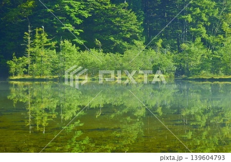 幻想的な明神池 幻想的な明神池 139604793