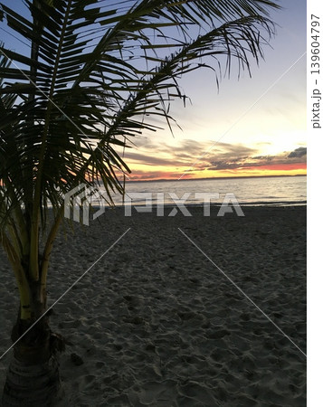 オーストラリア　モートン島の夕暮れ　砂浜 139604797