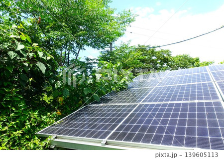木に覆われ影響を受けた太陽光パネル 木に覆われ影響を受けた太陽光パネル 139605113