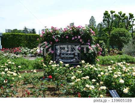 伊奈町制施行記念公園 伊奈町制施行記念公園 139605189