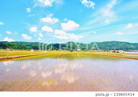 田植えされた田んぼに映り込む初夏水鏡田園風景 田植えされた田んぼに映り込む初夏水鏡田園風景 139605414