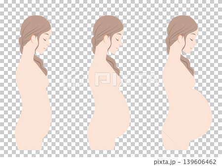 Pregnant women: early, middle, and late stages 139606462