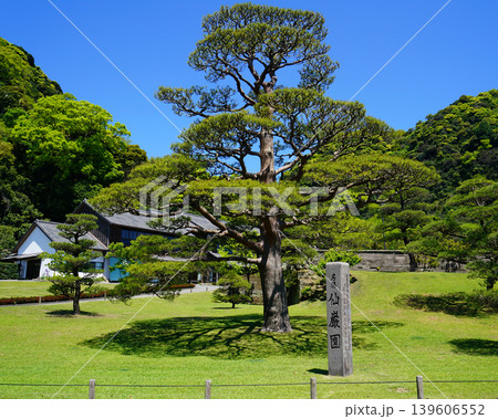 仙厳園 鹿児島県 仙厳園 鹿児島県 139606552