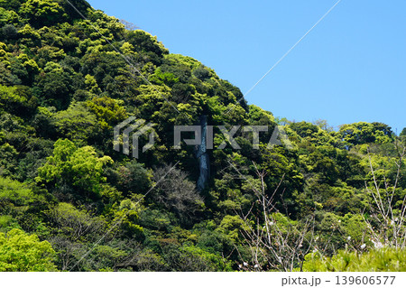 仙厳園 鹿児島県 仙厳園 鹿児島県 139606577