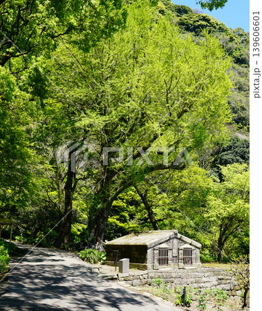 仙厳園 鹿児島県 仙厳園 鹿児島県 139606601