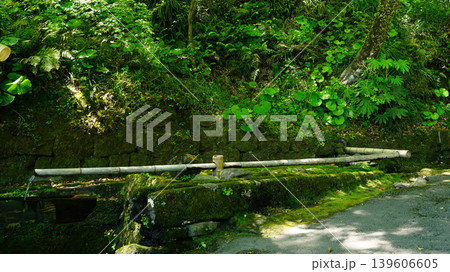 仙厳園 鹿児島県 仙厳園 鹿児島県 139606605