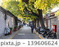 Hutong in Beijing, China with Golden leaves hang low over stone-lined alley in Autumn 139606624