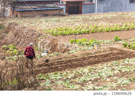 Unrecognizable elderly Chinese farmer plouging dirt in small rural village vegetables farm in China Unrecognizable elderly Chinese farmer plouging dirt in small rural village vegetables farm in China 139606626