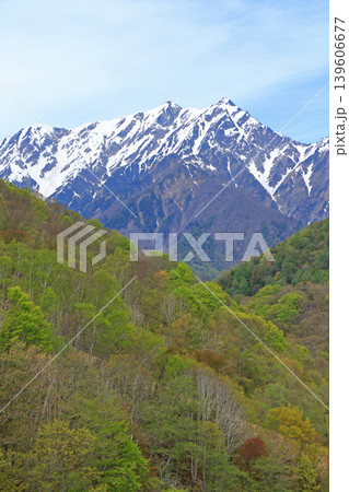 鹿島槍黒沢高原から望む5月の北アルプス 鹿島槍黒沢高原から望む5月の北アルプス 139606677