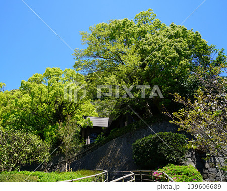 仙厳園 鹿児島県 仙厳園 鹿児島県 139606689
