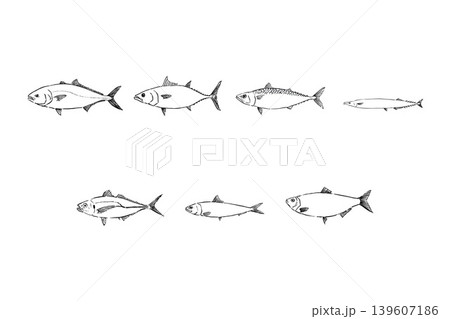 青魚セット　海水魚のイラスト素材 139607186