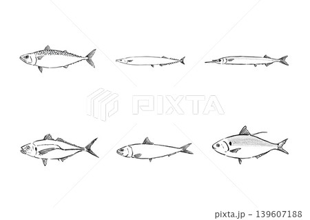 光り物魚セット 青魚のイラスト素材 光り物魚セット 青魚のイラスト素材 139607188