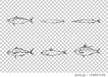 光り物魚セット 青魚のイラスト素材 光り物魚セット 青魚のイラスト素材 139607188