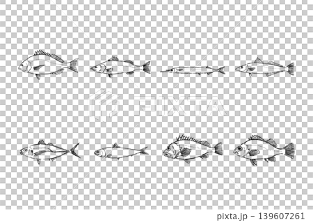 Fishing set for targeting fish from a breakwater - Sea fishing illustration material Fishing set for targeting fish from a breakwater - Sea fishing illustration material 139607261