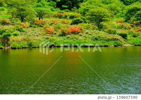 新緑の季節の風景 新緑の季節の風景 139607390