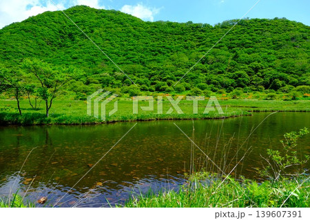 新緑の季節の風景 139607391