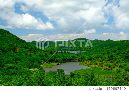 鮮やかな新緑の景色 鮮やかな新緑の景色 139607540