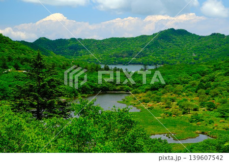 鮮やかな新緑の景色 鮮やかな新緑の景色 139607542